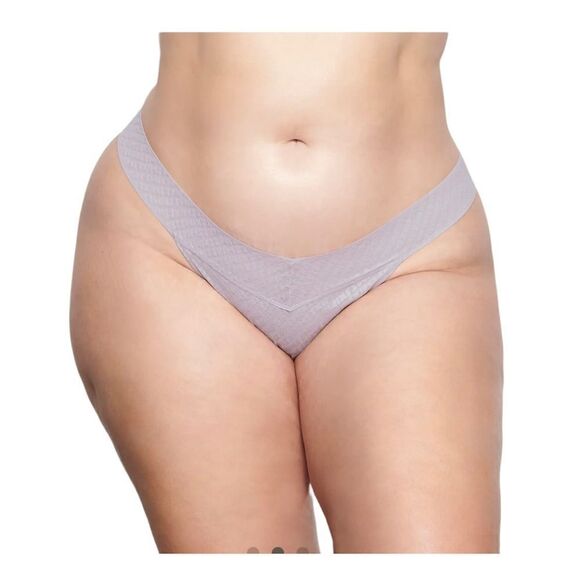 SKIMS Logo Cheeky Briefs Iris Mica Sz S NWT - Picture 1 of 7